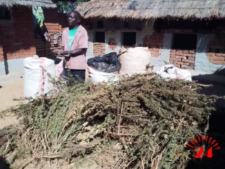 Img 20260702 Wa0002- Malawi24