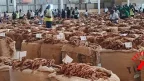Tobacco Market- Malawi24