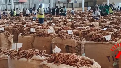 Tobacco Market- Malawi24
