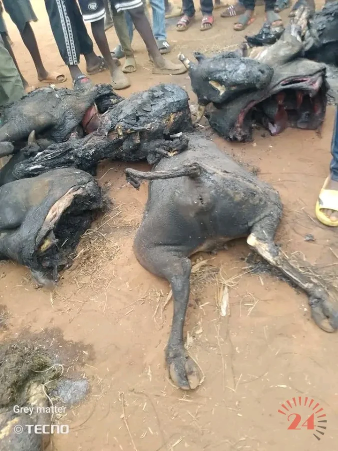 1790751729356- Malawi24