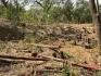 Fb Img- Malawi24