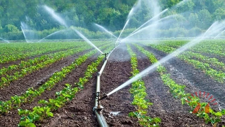Malawi Government: Mega Farms K55.8bn Loan Recovery Intensifies