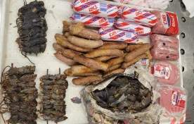 Dead African mice and beef seized from Malawi luggage at Chicago O’Hare Airport, with The Nation newspaper and Ori French Polony visible
