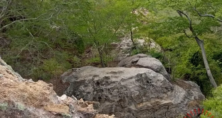 Mwabvi Reserve- Malawi24