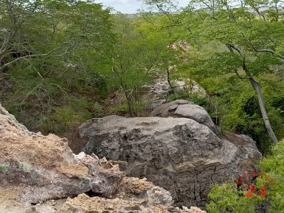 Mwabvi Wildlife Reserve is set for a tourism boost in Nsanje