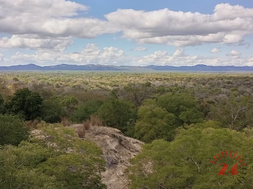 Mwabvi- Malawi24