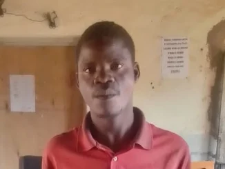 Pig Theft- Malawi24