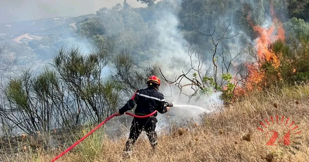 Death penalty for fire-setters in Algeria