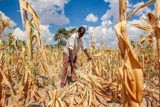 IMF warns Malawi of food shortages, power cuts