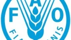 Food and Agriculture Organization of the United Nations (FAO) logo.