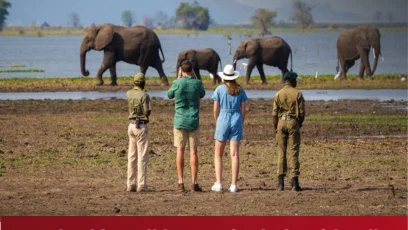 Img 20261023 Wa0058- Malawi24