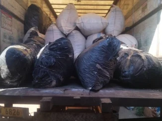 Img 20261024 Wa0010- Malawi24