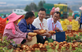 Discipline inspection and supervision officials speak with villagers in Pule Village, Qujing, Yunnan, about rural industry development.