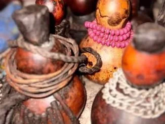 Traditional Healer- Malawi24